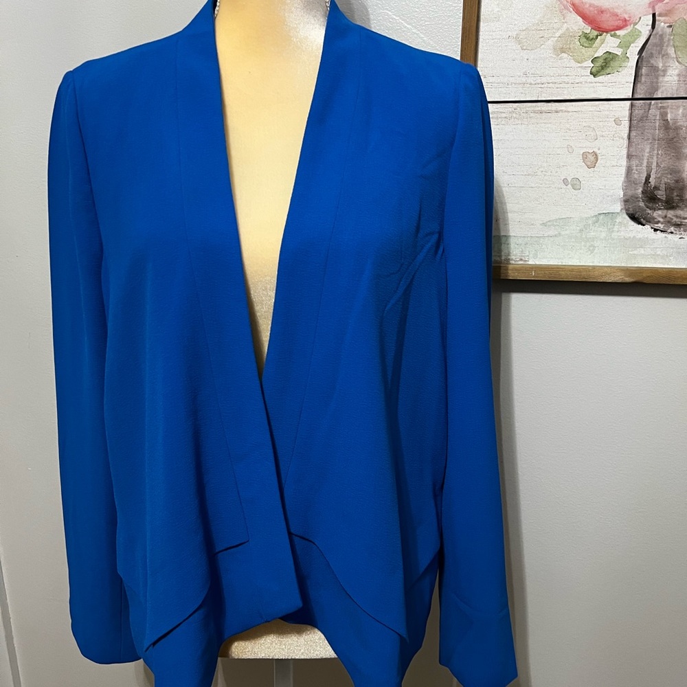 The Limited Online exclusive blue blazer